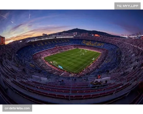 分析:安全站立看台试点范围扩大,对球场氛围与安全的影响评估